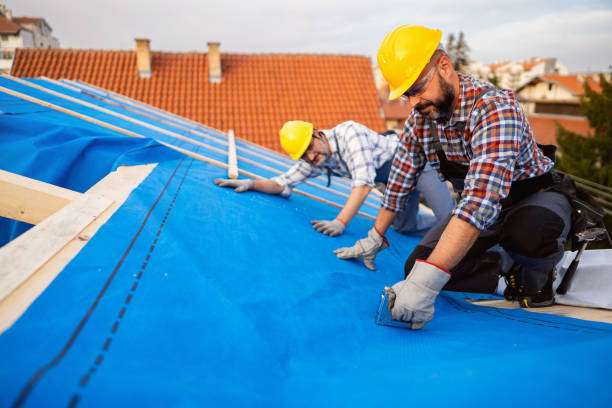Best Rubber Roofing (EPDM, TPO)  in Steelton, PA